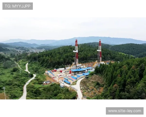 标准化建设期重点攻关协议兼容 降低集成复杂度