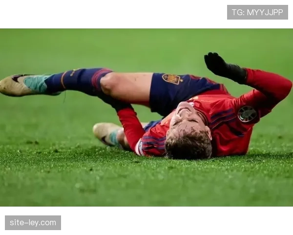 里尔官方宣布中场核心安热尔-戈梅斯因脚踝韧带伤势赛季报销