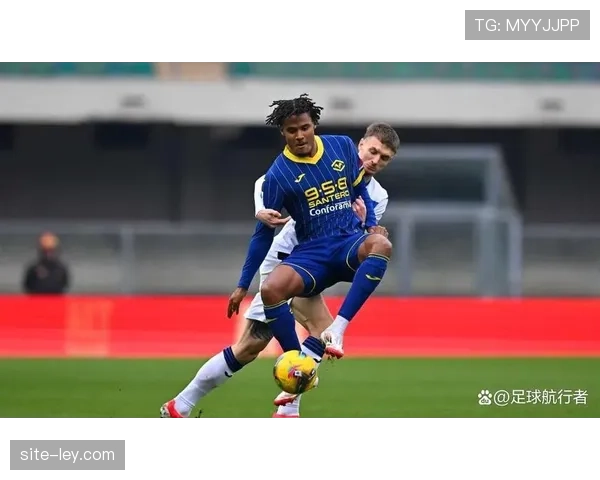 维罗纳1-1战平卡利亚里，两队仍处降级区边缘